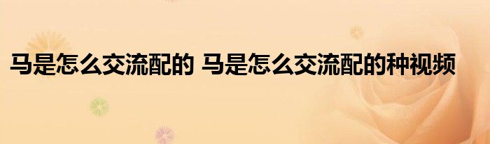 马是怎么交流配的 马是怎么交流配的种视频