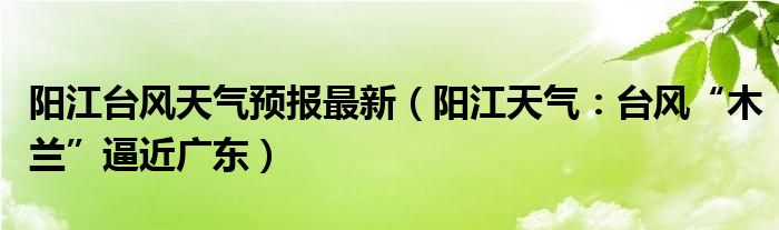 阳江台风天气预报最新（阳江天气：台风“木兰”逼近广东）