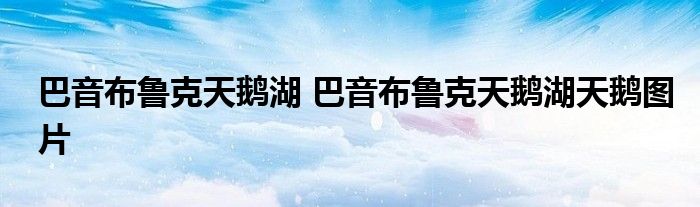 巴音布鲁克天鹅湖 巴音布鲁克天鹅湖天鹅图片