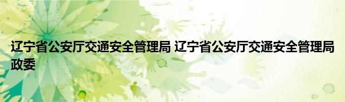 辽宁省公安厅交通安全管理局 辽宁省公安厅交通安全管理局政委