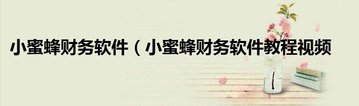 小蜜蜂财务软件（小蜜蜂财务软件教程视频