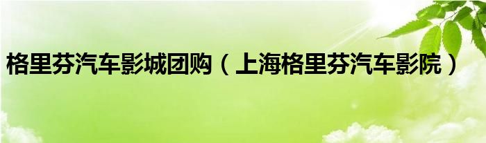 格里芬汽车影城团购（上海格里芬汽车影院）