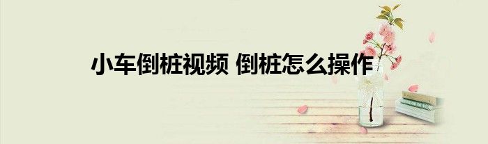 小车倒桩视频 倒桩怎么操作
