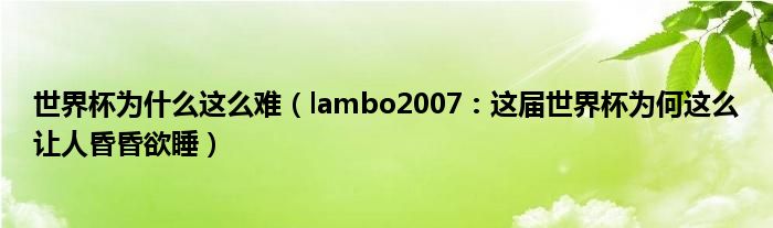 世界杯为什么这么难（lambo2007：这届世界杯为何这么让人昏昏欲睡）