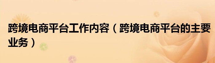 跨境电商平台工作内容（跨境电商平台的主要业务）