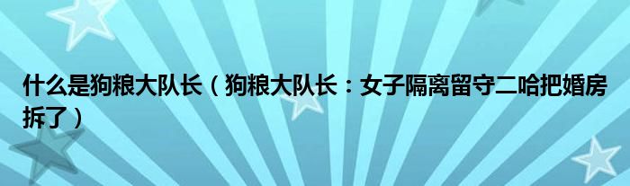 什么是狗粮大队长（狗粮大队长：女子隔离留守二哈把婚房拆了）