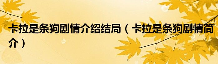 卡拉是条狗剧情介绍结局（卡拉是条狗剧情简介）