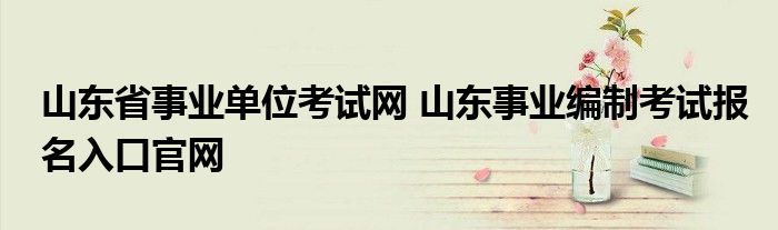 山东省事业单位考试网 山东事业编制考试报名入口官网