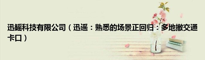 迅鳐科技有限公司（迅遥：熟悉的场景正回归：多地撤交通卡口）