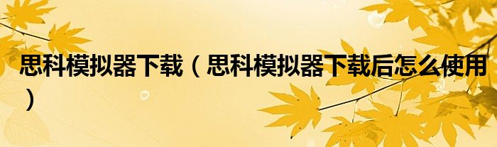 思科模拟器下载（思科模拟器下载后怎么使用）