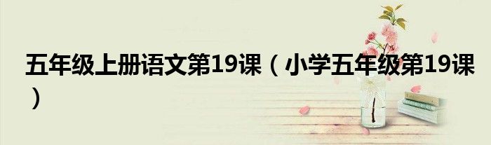 五年级上册语文第19课（小学五年级第19课）