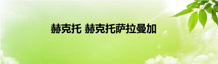 赫克托 赫克托萨拉曼加