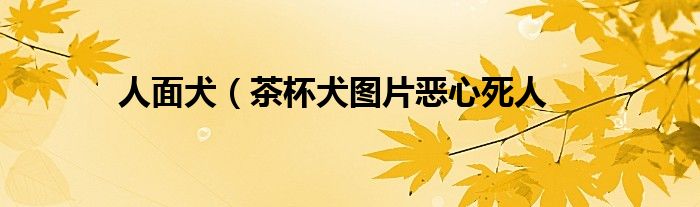 人面犬（茶杯犬图片恶心死人