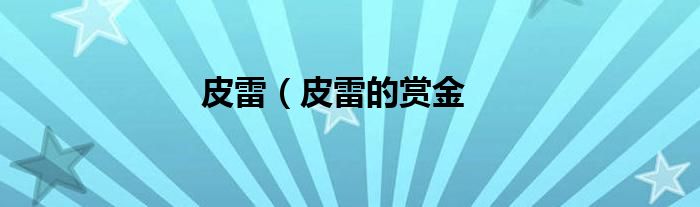 皮雷（皮雷的赏金