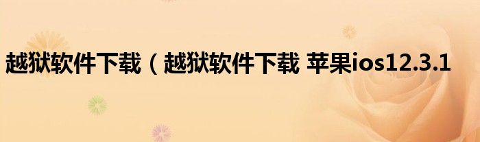 越狱软件下载（越狱软件下载 苹果ios12.3.1