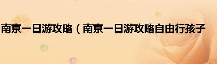 南京一日游攻略（南京一日游攻略自由行孩子