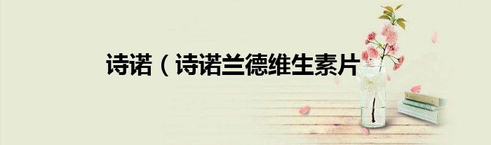 诗诺（诗诺兰德维生素片