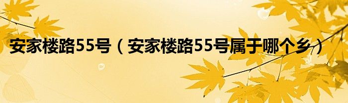 安家楼路55号（安家楼路55号属于哪个乡）