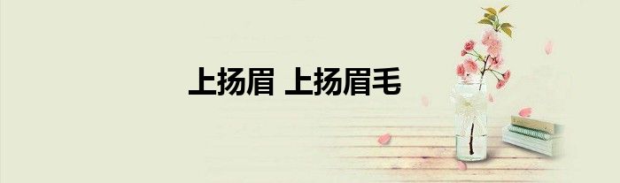 上扬眉 上扬眉毛