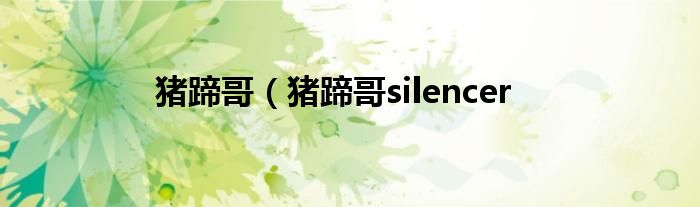 猪蹄哥（猪蹄哥silencer