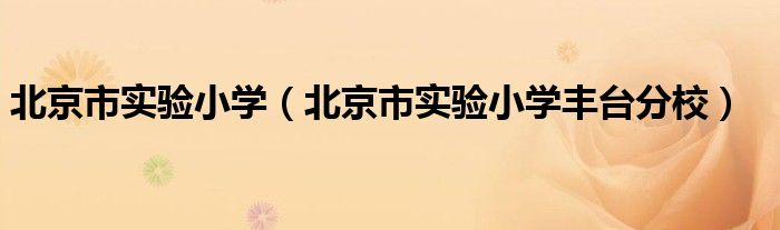 北京市实验小学（北京市实验小学丰台分校）