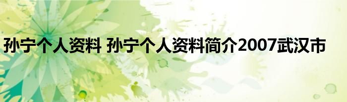 孙宁个人资料 孙宁个人资料简介2007武汉市