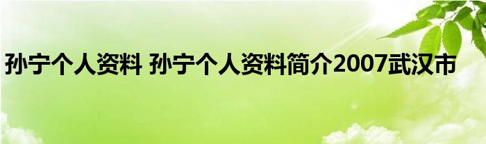 孙宁个人资料 孙宁个人资料简介2007武汉市
