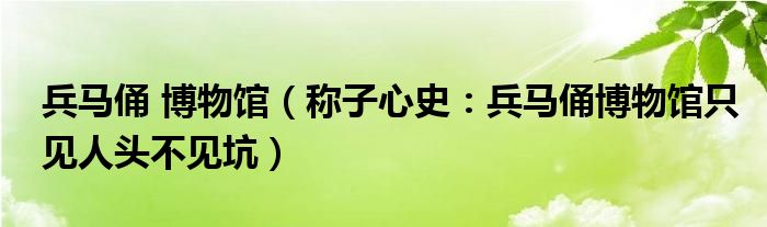 兵马俑 博物馆（称子心史：兵马俑博物馆只见人头不见坑）