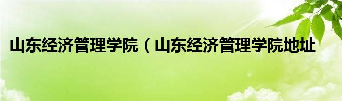 山东经济管理学院（山东经济管理学院地址