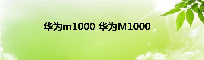 华为m1000 华为M1000