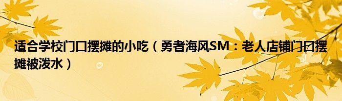 适合学校门口摆摊的小吃（勇者海风SM：老人店铺门口摆摊被泼水）