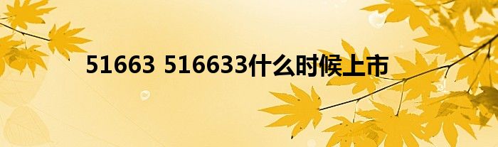 51663 516633什么时候上市