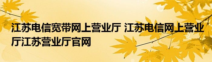 江苏电信宽带网上营业厅 江苏电信网上营业厅江苏营业厅官网