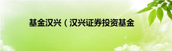 基金汉兴（汉兴证券投资基金