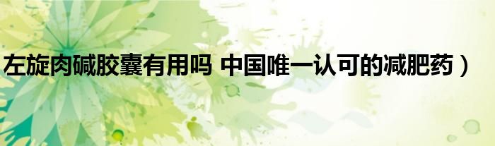 左旋肉碱胶囊有用吗 中国唯一认可的减肥药）