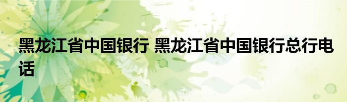 黑龙江省中国银行 黑龙江省中国银行总行电话