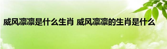 威风凛凛是什么生肖 威风凛凛的生肖是什么