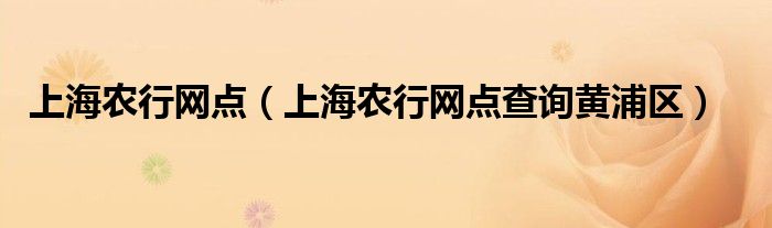 上海农行网点（上海农行网点查询黄浦区）