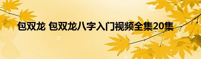 包双龙 包双龙八字入门视频全集20集