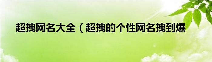 超拽网名大全（超拽的个性网名拽到爆