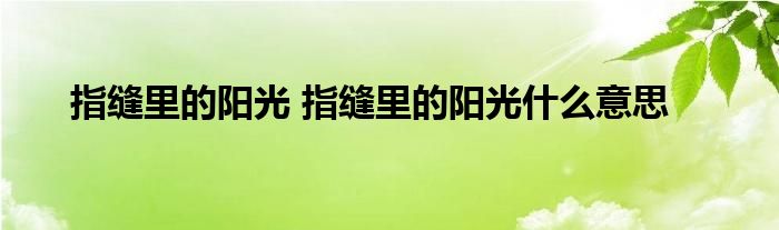 指缝里的阳光 指缝里的阳光什么意思
