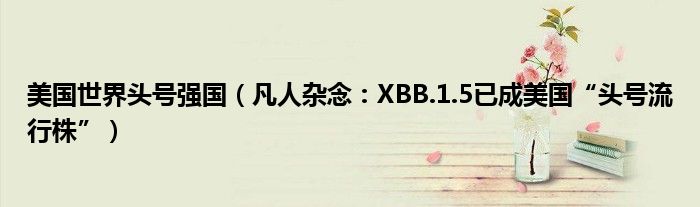美国世界头号强国（凡人杂念：XBB.1.5已成美国“头号流行株”）