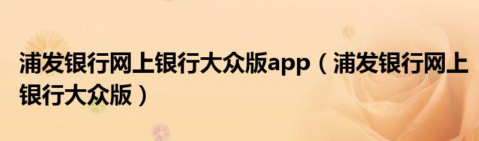 浦发银行网上银行大众版app（浦发银行网上银行大众版）