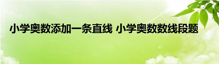 小学奥数添加一条直线 小学奥数数线段题