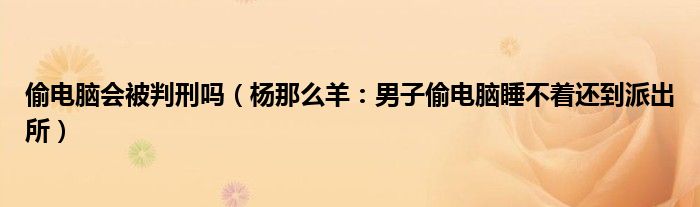 偷电脑会被判刑吗（杨那么羊：男子偷电脑睡不着还到派出所）