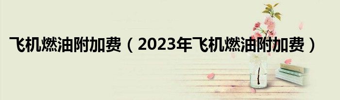 飞机燃油附加费（2023年飞机燃油附加费）