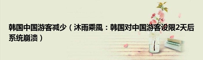 韩国中国游客减少（沐雨乘風：韩国对中国游客设限2天后系统崩溃）