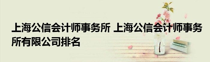 上海公信会计师事务所 上海公信会计师事务所有限公司排名