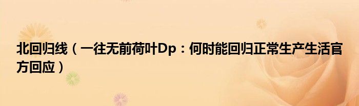 北回归线（一往无前荷叶Dp：何时能回归正常生产生活官方回应）