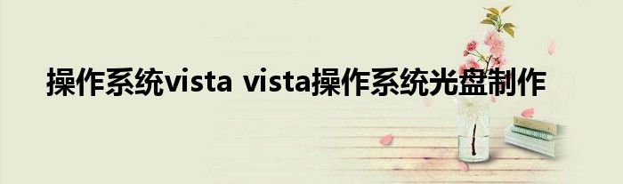 操作系统vista vista操作系统光盘制作